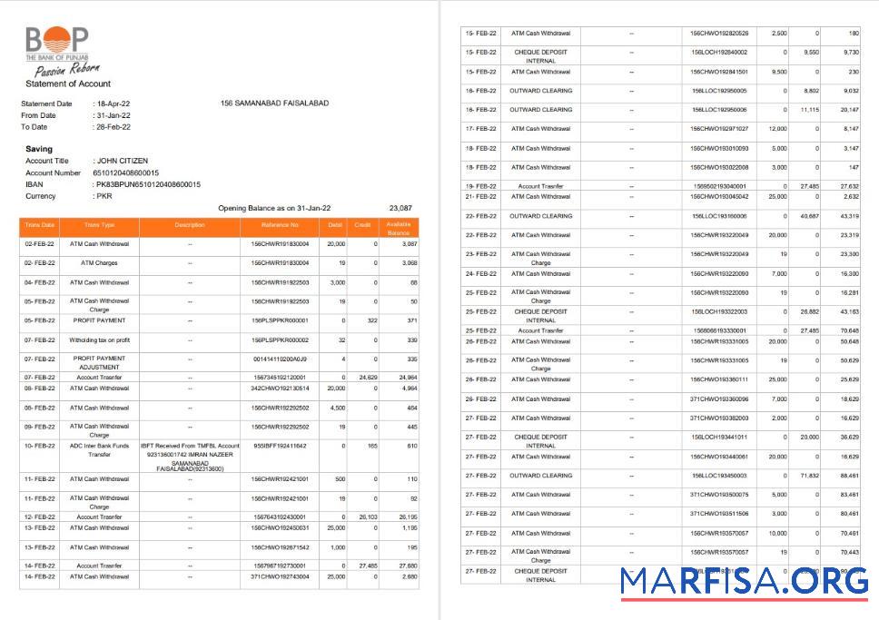 Realistic India The Bank of Punjab (BOP) account statement word 3 pages download for verification